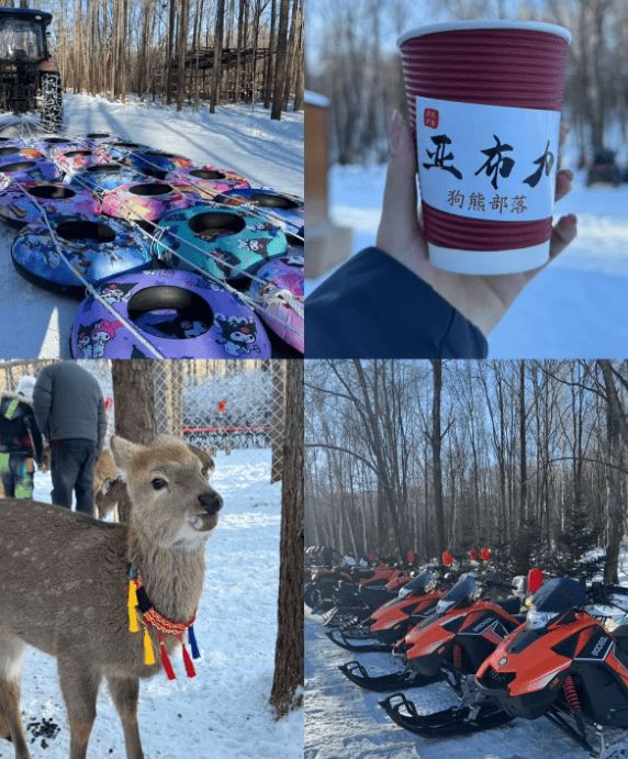 哈尔滨5天4晚跟团行程攻略出行注意事项当地精品游